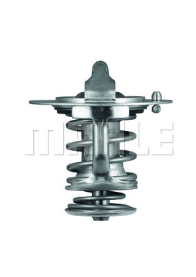 Termostatas MAHLE TX 83 76D