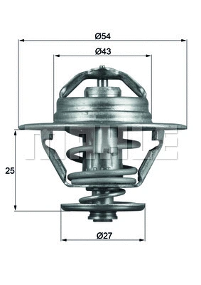 Termostatas MAHLE TX 93 79D
