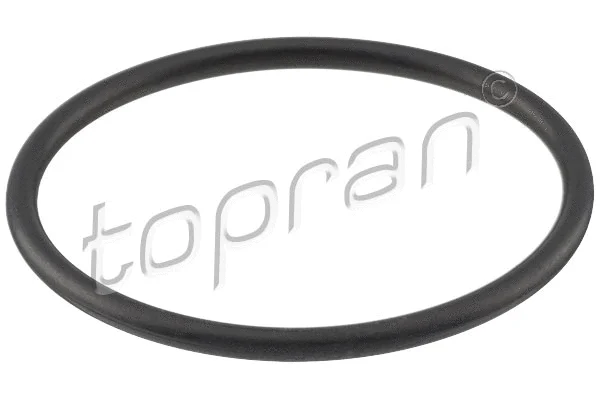 Degalų siurblio tarpinė TOPRAN 100 576