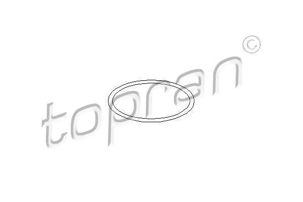 Vandens siurblio tarpiklis TOPRAN 100 674