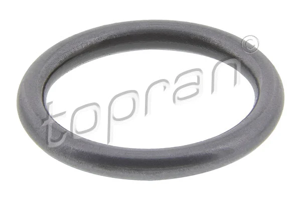 Purkštuko tarpinė TOPRAN 100 678