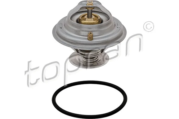 Termostatas TOPRAN 101 583