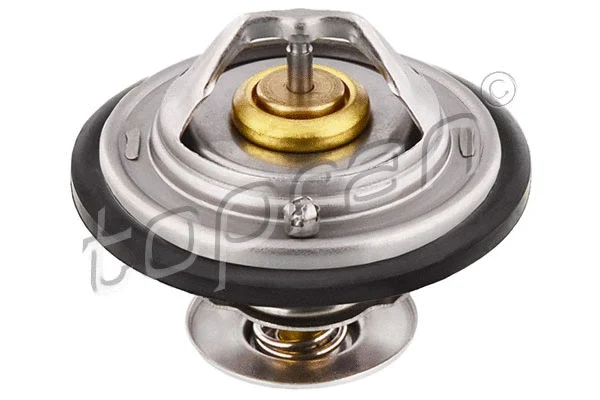 Termostatas TOPRAN 101 601