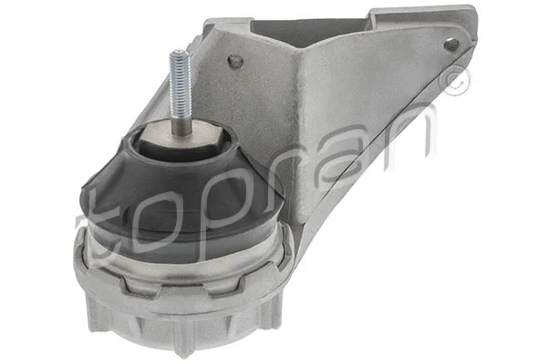 Variklio montavimas TOPRAN 103 729