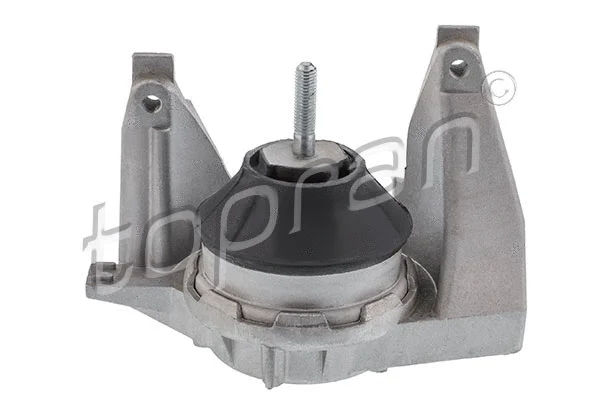 Variklio montavimas TOPRAN 103 730