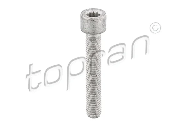 Kardaninio veleno jungės varžtas TOPRAN 104 306