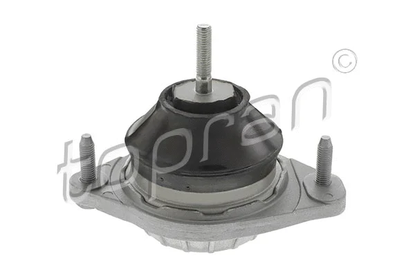 Variklio montavimas TOPRAN 104 397