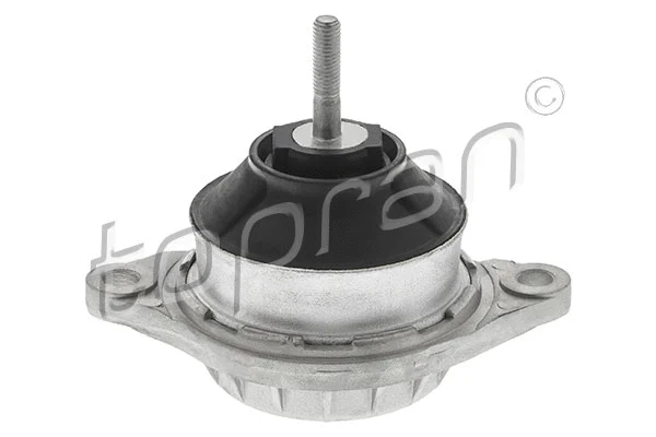 Variklio montavimas TOPRAN 107 062
