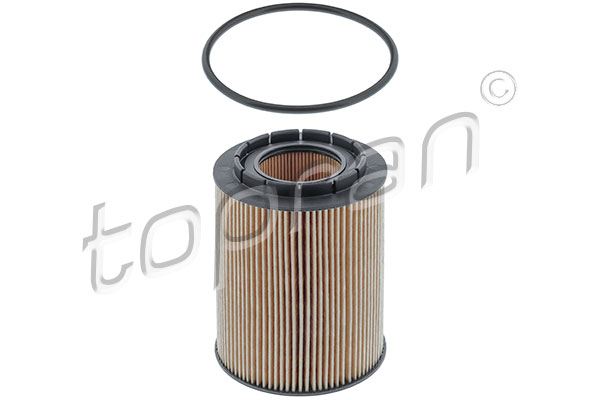 Alyvos filtras TOPRAN 107 757