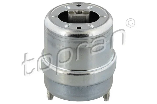 Variklio montavimas TOPRAN 107 964