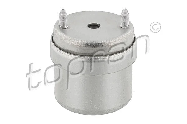 Variklio montavimas TOPRAN 107 976