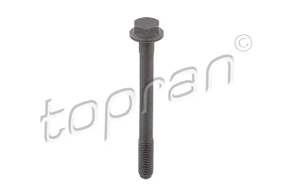 Varžtas TOPRAN 109 779