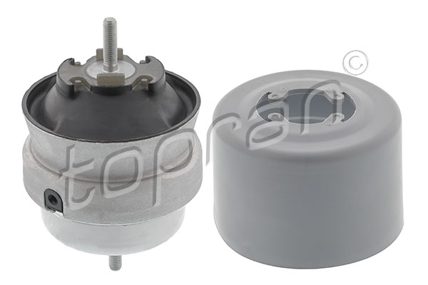 Variklio montavimas TOPRAN 110 386