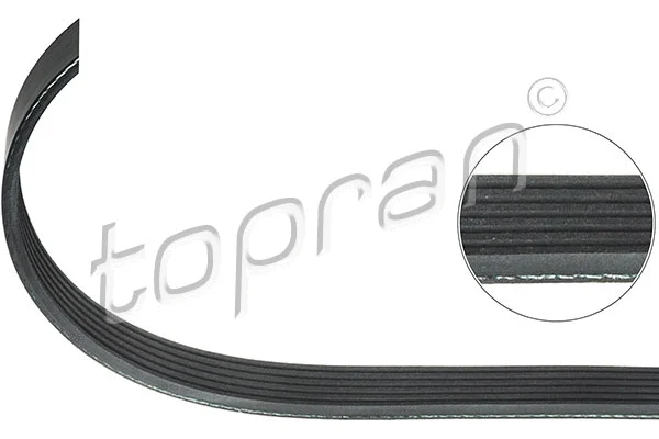Dirželis TOPRAN 113 497