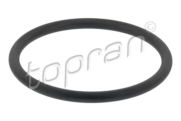 Oro filtro korpuso tarpinė TOPRAN 113 883