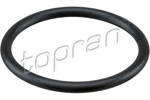 Oro filtro korpuso tarpinė TOPRAN 113 884