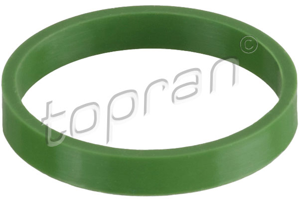 Įsiurbimo kolektoriaus tarpinė TOPRAN 113 886