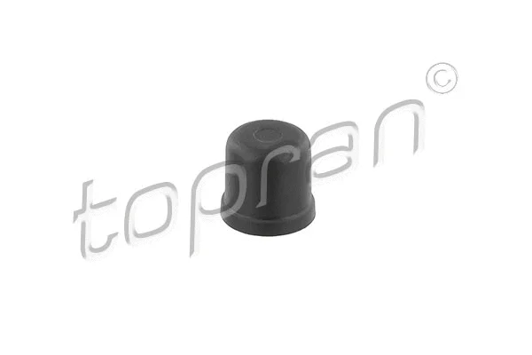 Dangtelis/dangtis TOPRAN 114 010