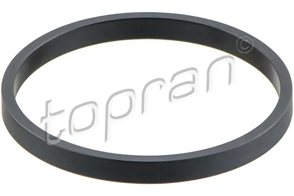 Įsiurbimo kolektoriaus tarpinė TOPRAN 114 814