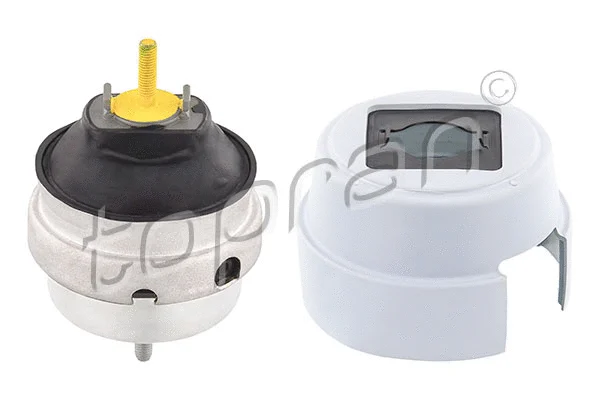 Variklio montavimas TOPRAN 114 930