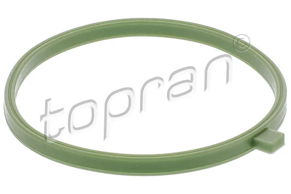 Įsiurbimo kolektoriaus korpuso tarpinė TOPRAN 115 263