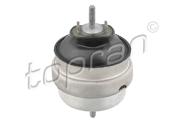 Variklio montavimas TOPRAN 115 630