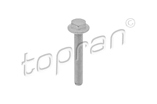 Varžtas TOPRAN 115 806