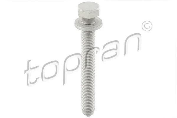 Varžtas TOPRAN 116 950