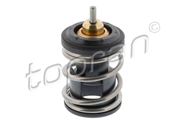 Termostatas TOPRAN 116 999