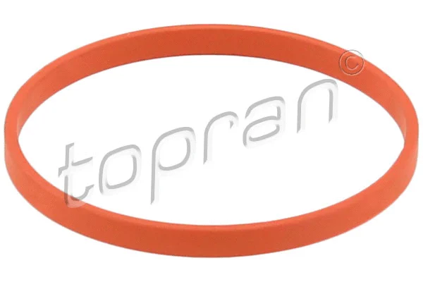 Įsiurbimo kolektoriaus korpuso tarpinė TOPRAN 117 328