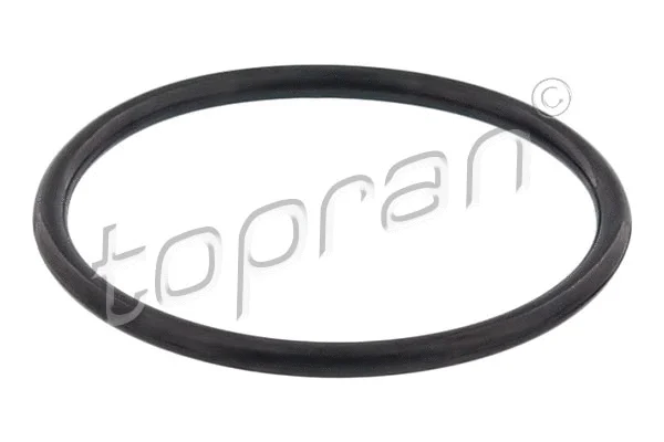 Termostato tarpinė TOPRAN 117 329