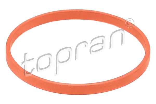 Įsiurbimo kolektoriaus korpuso tarpinė TOPRAN 117 386