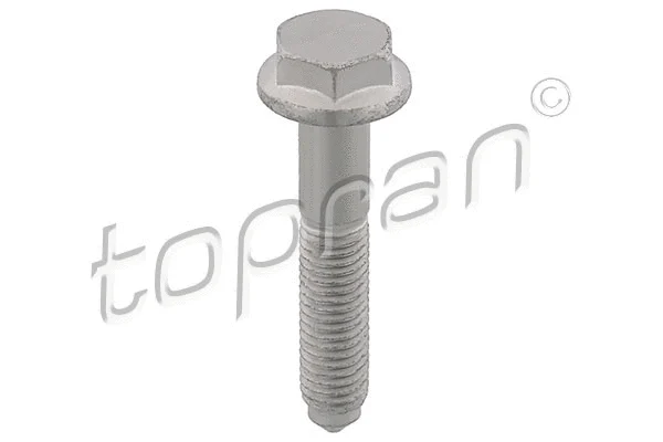 Varžtas TOPRAN 117 613