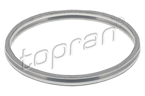 Išleidimo kolektoriaus tarpinė TOPRAN 117 909
