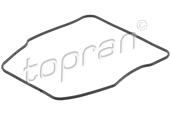 Automatinės pavarų dėžės alyvos tarpinė TOPRAN 119 326