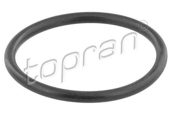 Termostato korpuso tarpinė TOPRAN 202 326