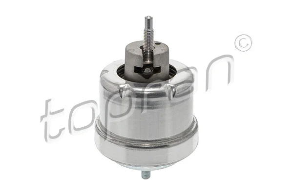 Variklio montavimas TOPRAN 205 164