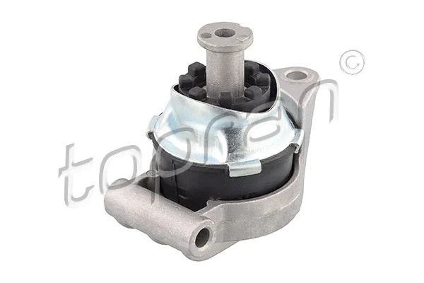 Variklio montavimas TOPRAN 205 613