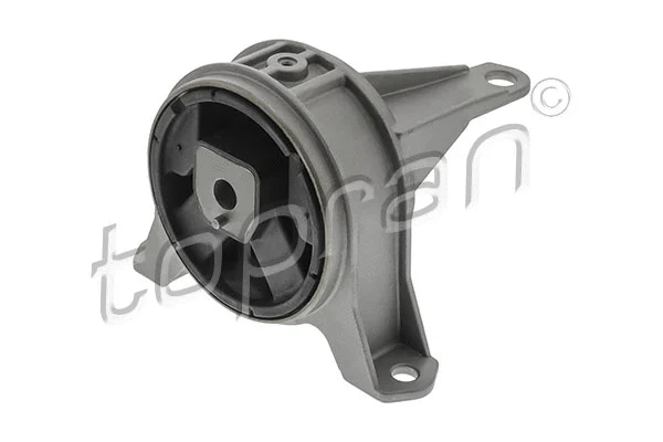 Variklio montavimas TOPRAN 207 208