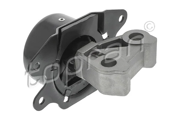 Variklio montavimas TOPRAN 207 561