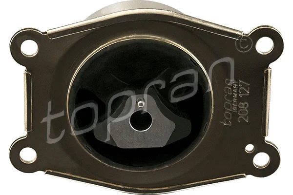 Variklio montavimas TOPRAN 208 127