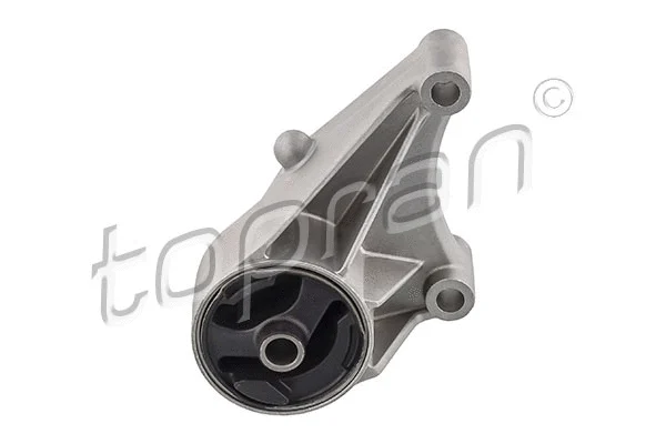 Variklio montavimas TOPRAN 208 370