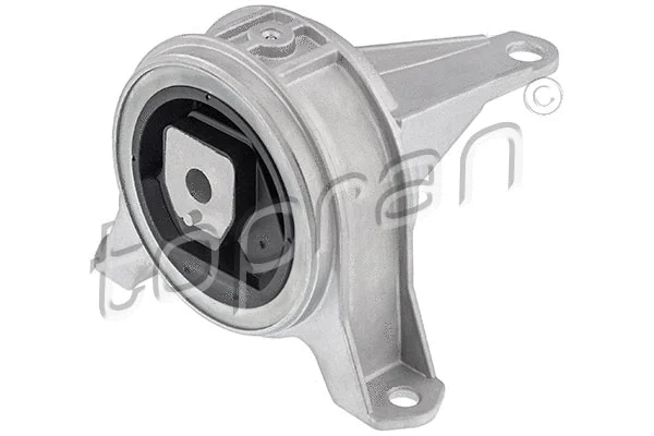 Variklio montavimas TOPRAN 208 391