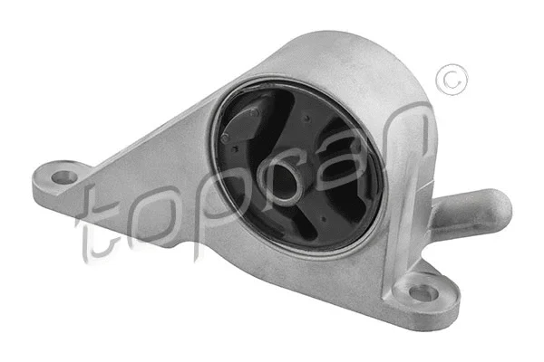 Variklio montavimas TOPRAN 208 392