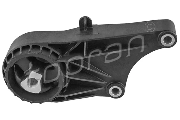 Variklio montavimas TOPRAN 208 430