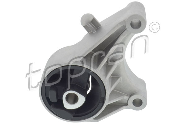 Variklio montavimas TOPRAN 208 466