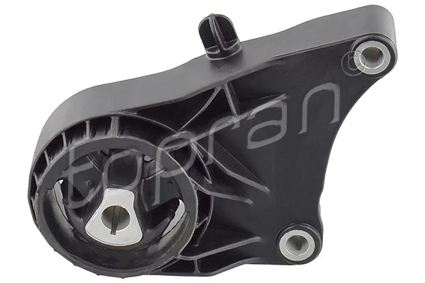Variklio montavimas TOPRAN 208 469