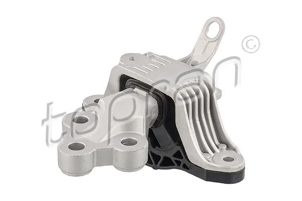 Variklio montavimas TOPRAN 208 486