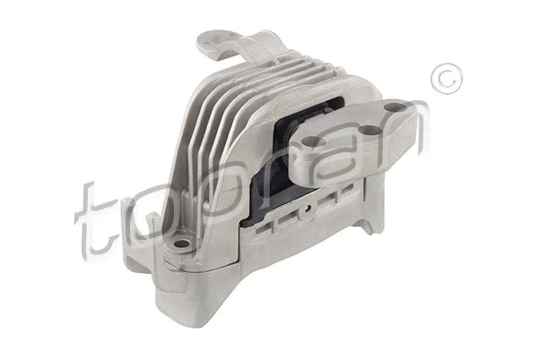 Variklio montavimas TOPRAN 208 514