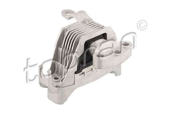 Variklio montavimas TOPRAN 208 834